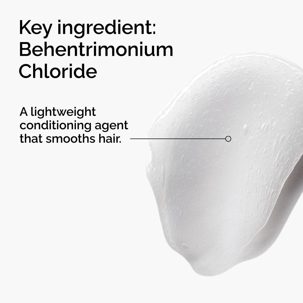 behentrimonium-chloride-2-conditioner-g6 FY25-D41247-ORD-Web-PDP-BTC-1x1-EN-2a.jpg