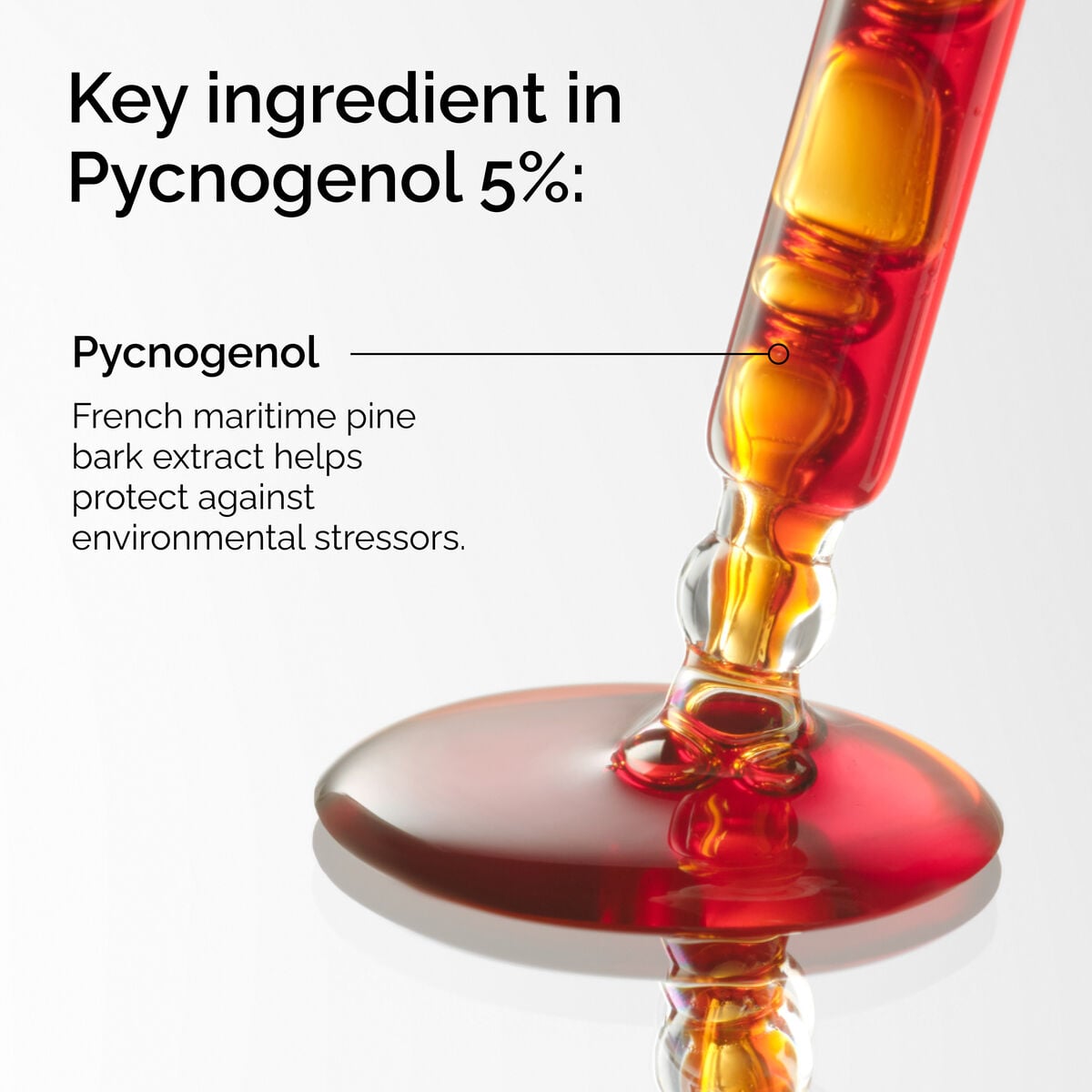 pycnogenol-5-c7 FY25-D41247-ORD-Web-PDP-Pyc-5pct-1x1-EN-2a.jpg