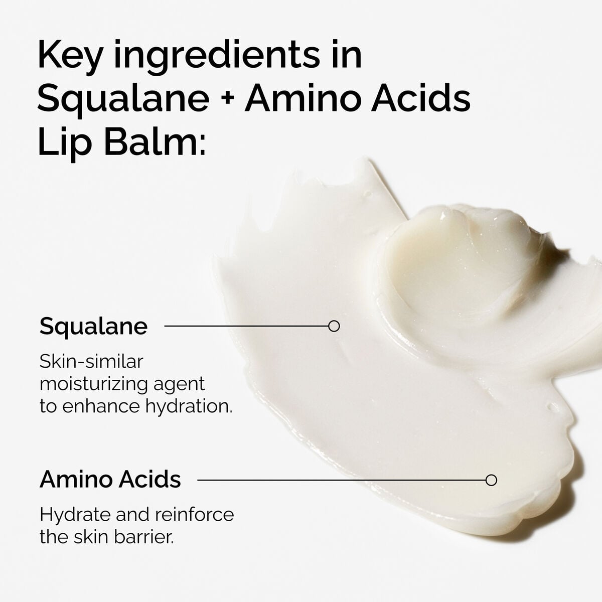 squalane-amino-acids-lip-balm-s7 FY25-D41247-ORD-Web-PDP-Sql-Amino-Lip-1x1-EN-2a.jpg