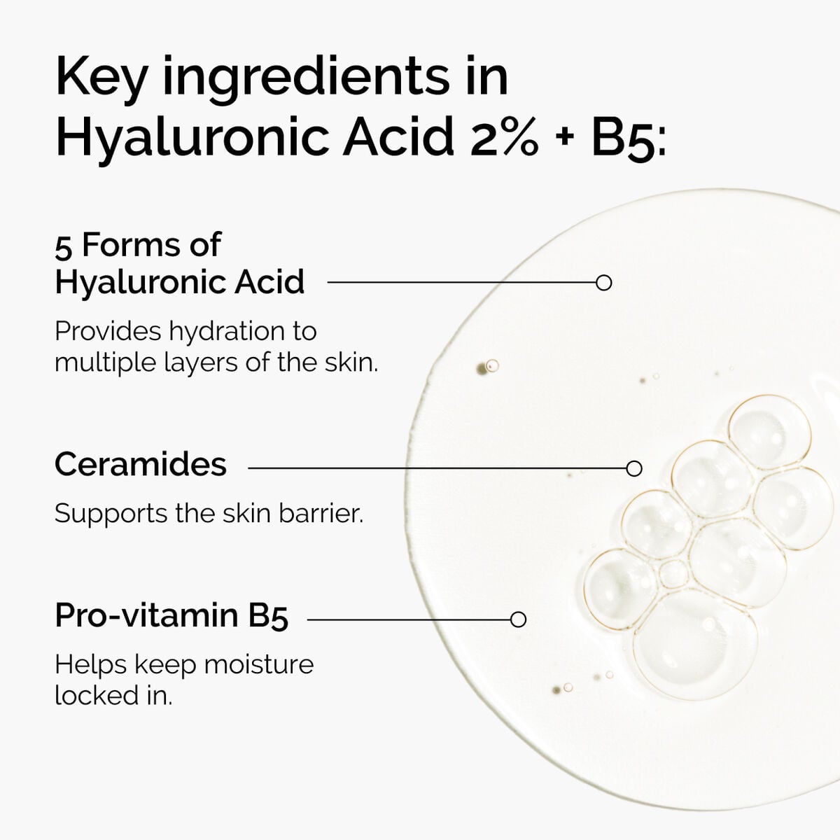 hyaluronic-acid-2-b5-with-ceramides-l7 ord-hyaluronic-acid-2pct-b5-hydrating-serum-ingredients-graphic.jpg